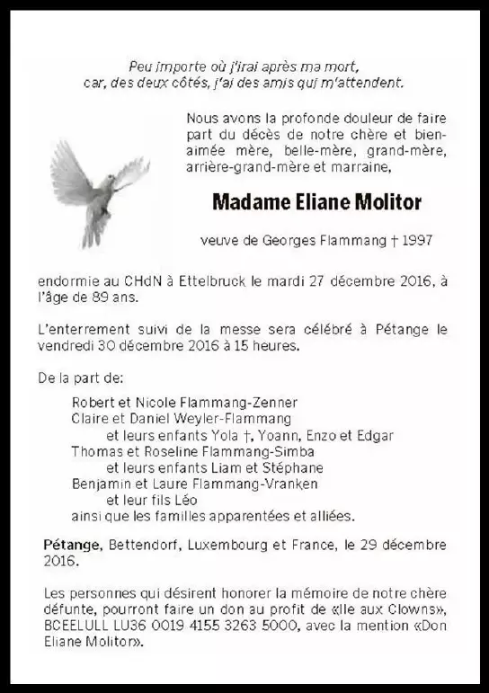 Traueranzeige für Eliane Molitor