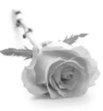 Portrait von Antoine Simon