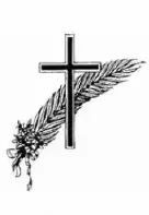 Portrait von Aly Rollmann