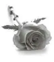 Portrait von Yvette Schumacher-Felgen