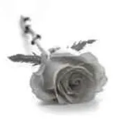 Portrait von Joseph Heintz