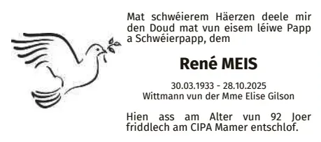 Traueranzeige für René Meis